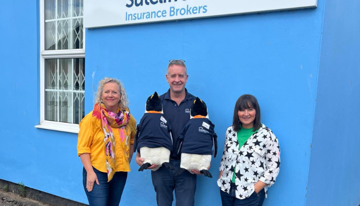 Meeting the artist of our Picasso Penguin