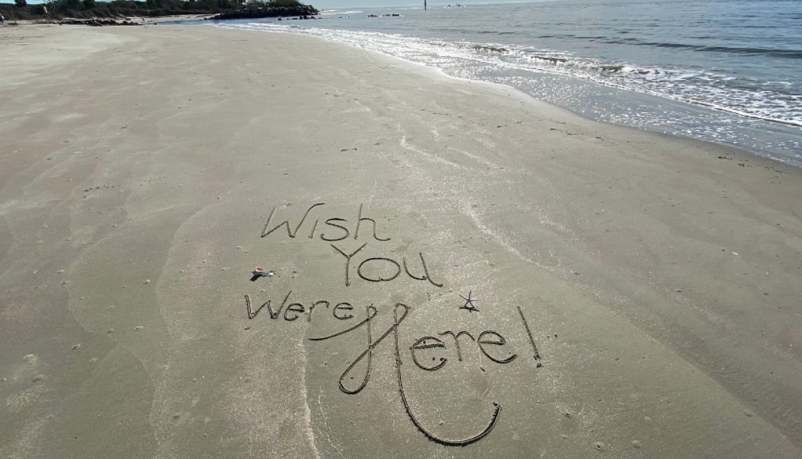 cyber crime holiday scams